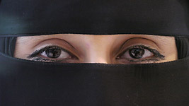 Klicken Sie auf das Bild um zum neuen Bericht zu gelange