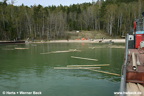 zurck zur Galeriebersicht - Jurtenbau