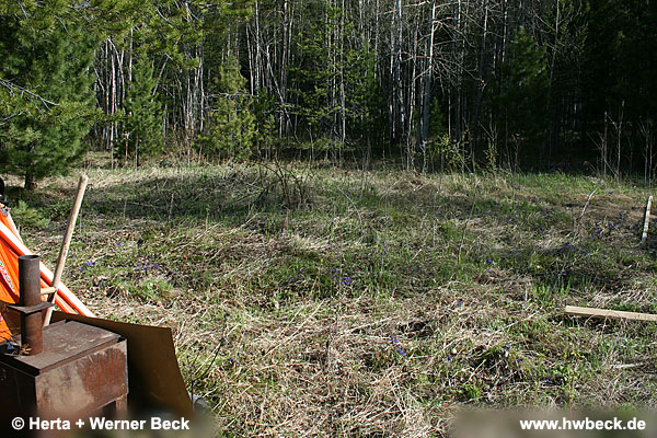 zurck zur Galeriebersicht - Jurtenbau