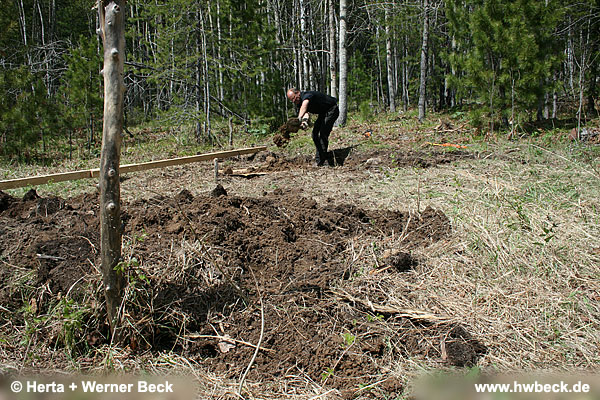 zurck zur Galeriebersicht - Jurtenbau