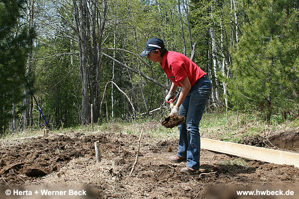 zurck zur Galeriebersicht - Jurtenbau